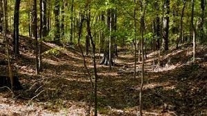 Old trace near french camp