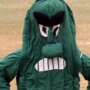 Fighting Okra